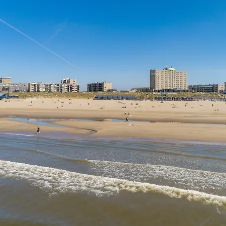 호텔 Beachhotel By Center Parcs 잔드보르트